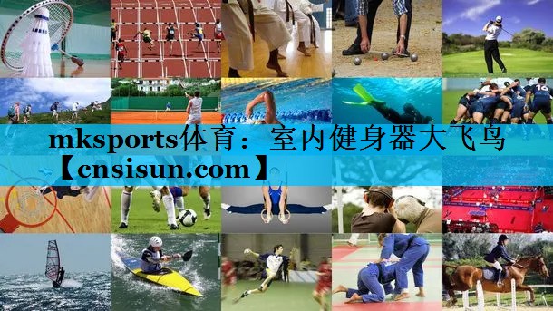 mksports体育：室内健身器大飞鸟